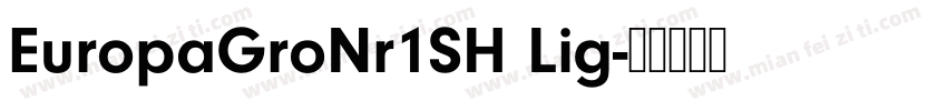 EuropaGroNr1SH Lig字体转换